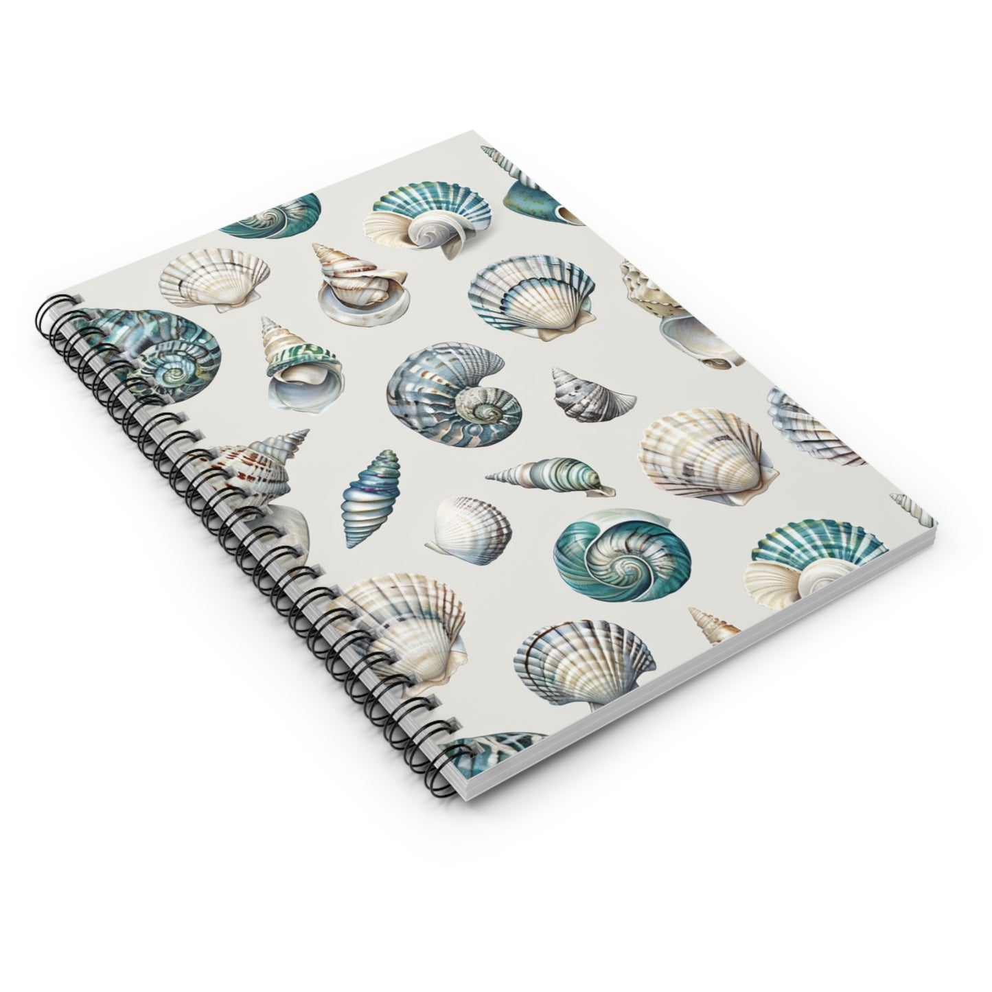 Sea Shells