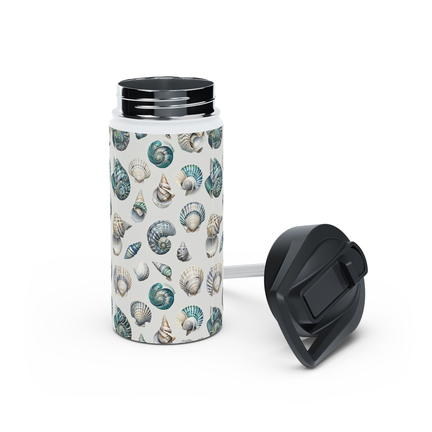Sea Shells