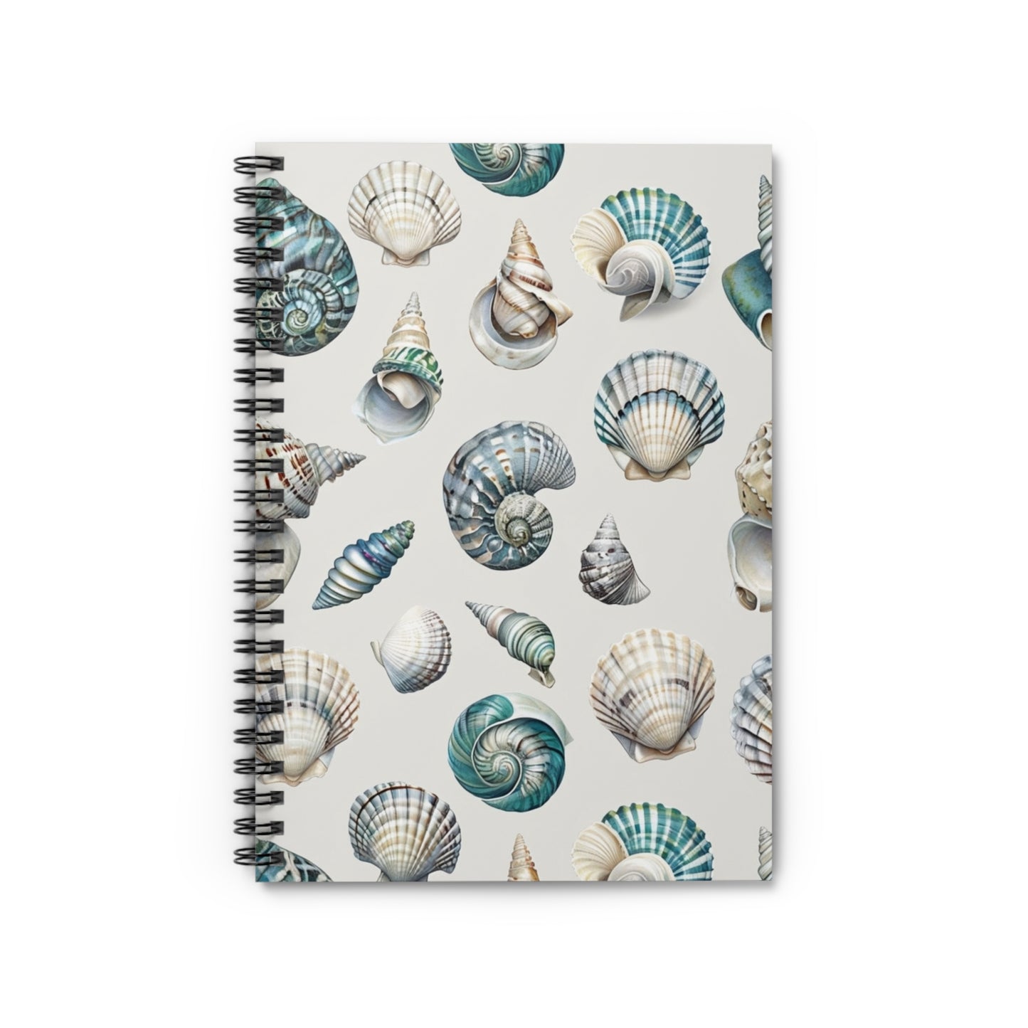 Sea Shells