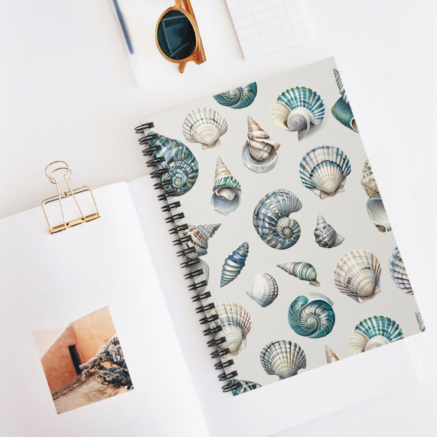 Sea Shells