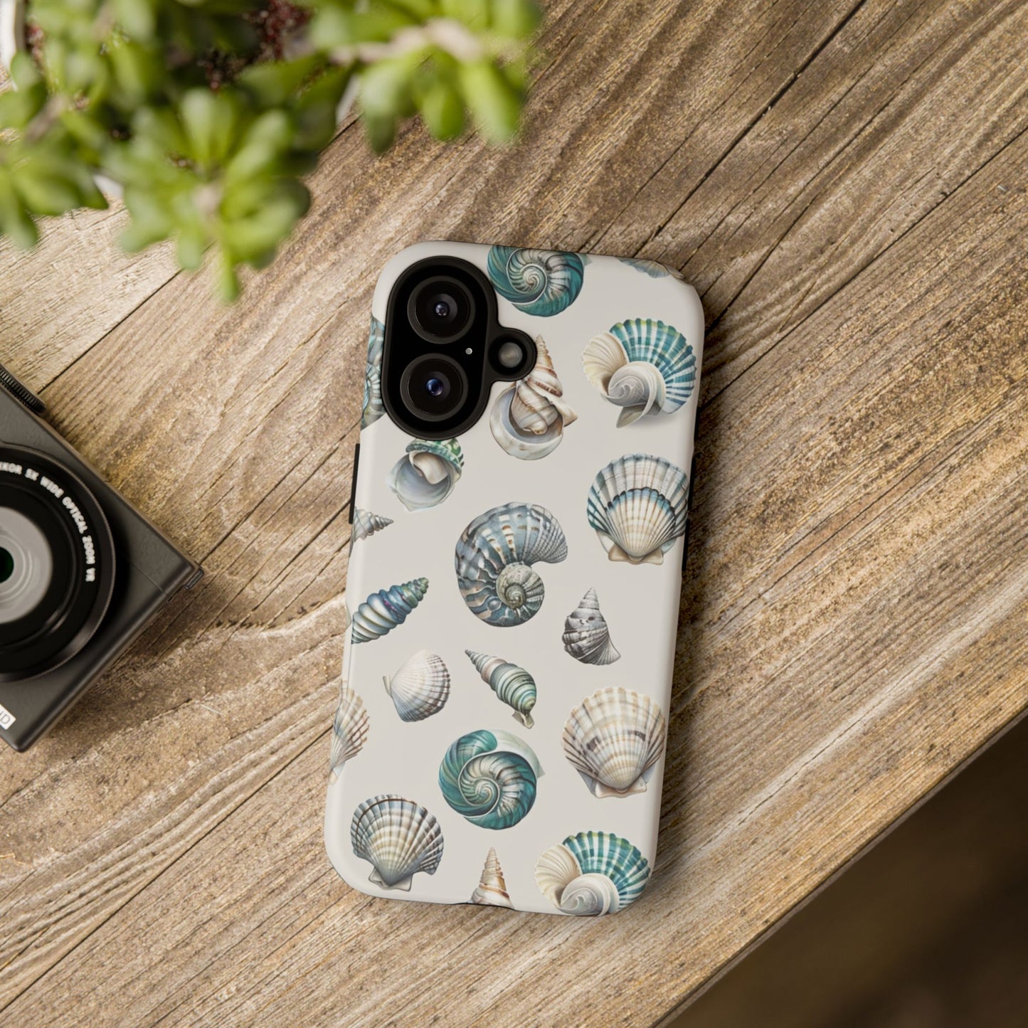 Sea Shells