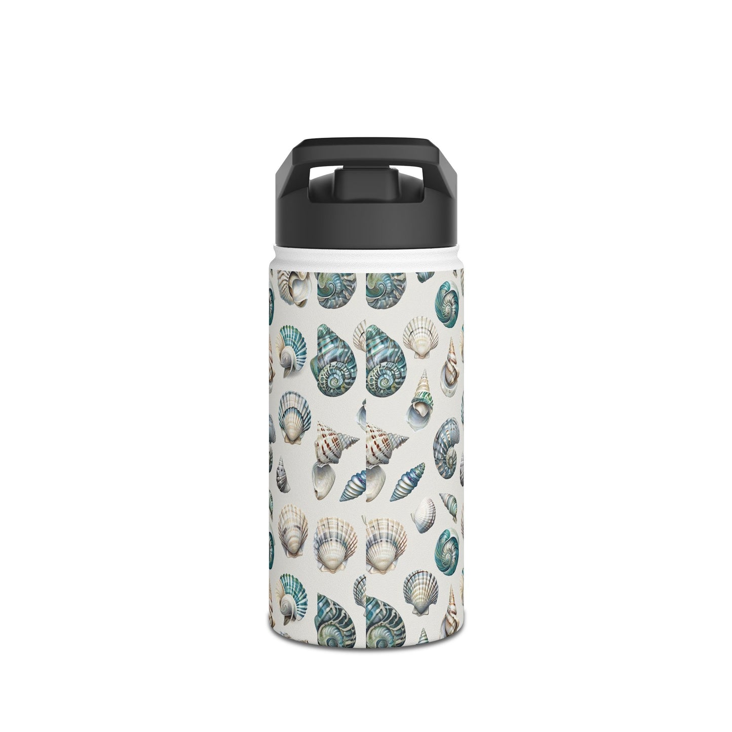 Sea Shells