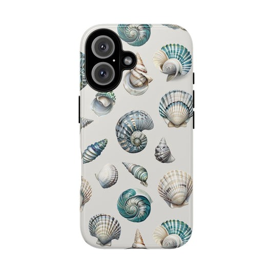 Sea Shells