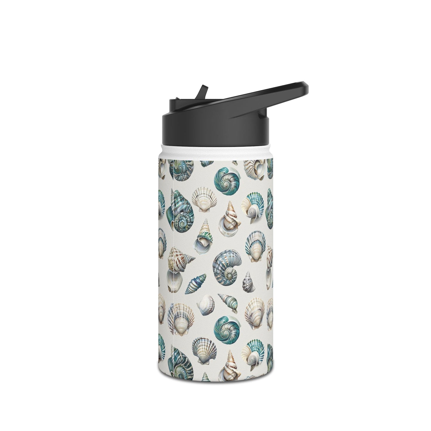 Sea Shells