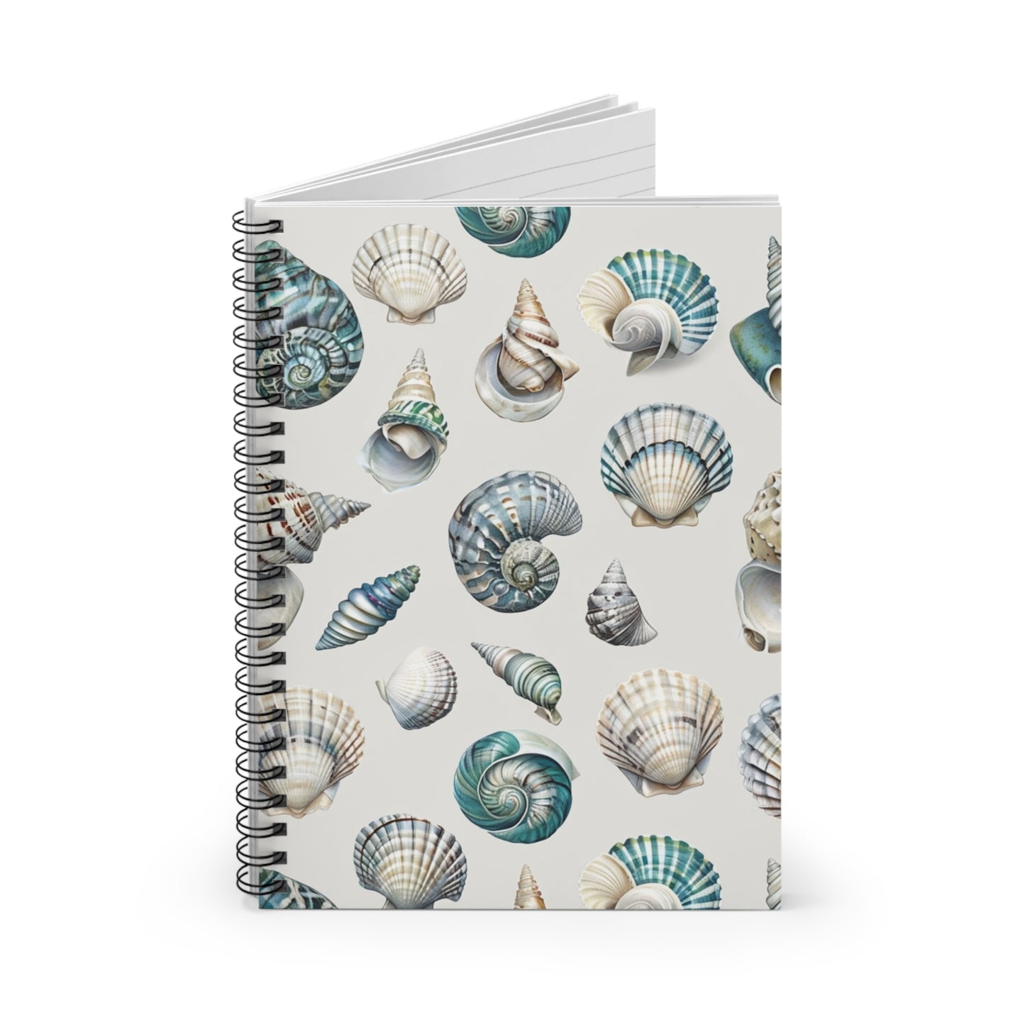 Sea Shells